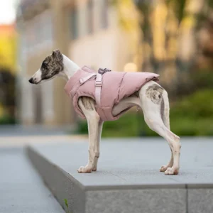 Autumn Winter Pet Coat Clothes Outdoor Dog Jacket with Harness for Small Medium Dogs Thick Warm Pet Cotton-Padded Clothing